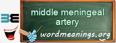 WordMeaning blackboard for middle meningeal artery